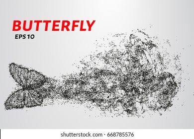 Butterfly of the particles. The butterfly consists of circles and points. Vector illustration