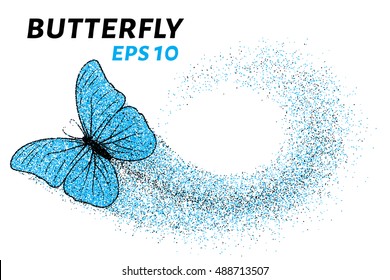 Butterfly of the particles. Of the smaller circles is a butterfly. Vector illustration