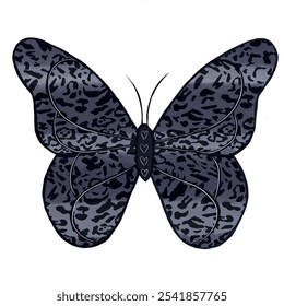 butterfly pattern design, fashion, music and more