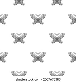 butterfly pattern. Linear art. Black and white image of a butterfly. Coloring antistress for adults. Summer light seamless design