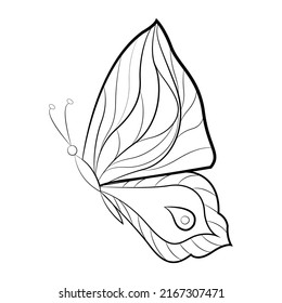 Butterfly with a pattern on the wings, exotic insects, print for tattoo. Vector illustration.