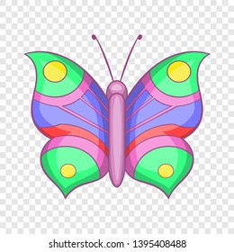 Butterfly with pattern on wings icon. Cartoon illustration of butterfly vector icon for web design
