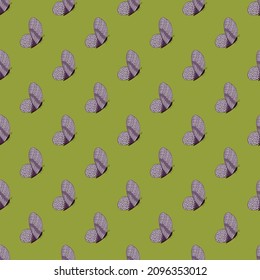 Butterfly pattern seamless in freehand style. Cute insect which fly in a meadow on colorful background. Vector illustration for textile prints, fabric, banners, backdrops and wallpapers.