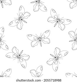 A butterfly pattern. seamless pattern of a hand-drawn butterfly sketch, top view, isolated black outline randomly arranged on white. Retro line art pattern with black butterfly pattern sketch 