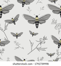 butterfly pattern skull horror picture