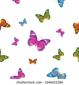 Butterfly pattern vector on white back for education,agriculment,science,artwork,Graphic design.