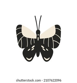Butterfly with patterns on the wings and antennae. A simple flat vector illustration isolated on a white background. Cute insect