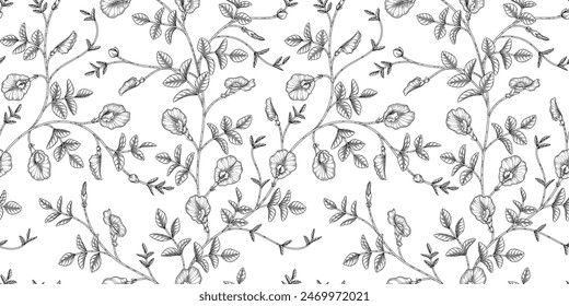Ilustración en blanco y negro del patrón floral del guisante de la mariposa
