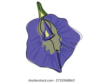 Butterfly pea flower in continuous line drawing