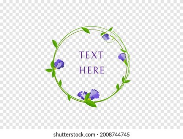 butterfly pea flower frame vector isolated on transparency background