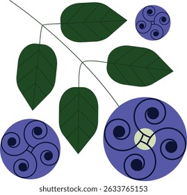 Butterfly pea flower vector illustration