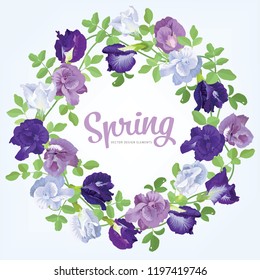 Butterfly pea flowers in blue, white, purple color and leaf on background. Vector set of blooming floral for wedding invitations and greeting card design.
