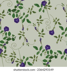 FLORES DE PEA DE MARIPOSAS