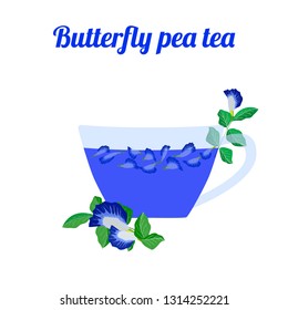 Butterfly pea tea in glass cup on white background. Concept for cocktail menu bar. Vector illustration in flat design.