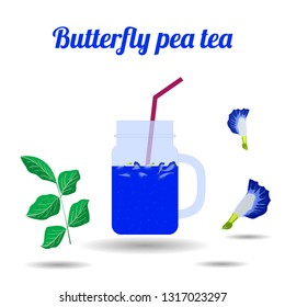 Butterfly pea tea in glass jars on white background. Concept for cocktail menu bar. Vector illustration in flat design.