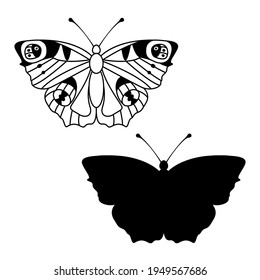 Butterfly peacock outline and silhouette on a white background