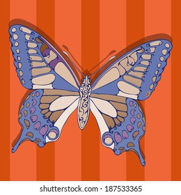 Butterfly  Picture of a flying insect, abstract, color, vector.