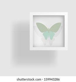 butterfly in the picture and its reflection