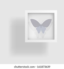 butterfly in the picture and its reflection