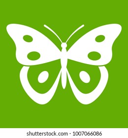Butterfly pierid icon white isolated on green background. Vector illustration