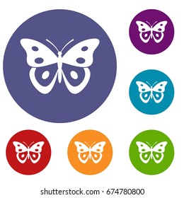 Butterfly pierid icons set in flat circle reb, blue and green color for web