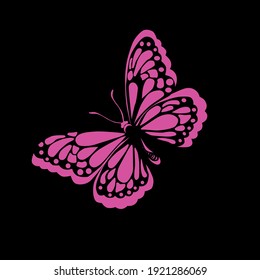 Papillon Couleur High Res Stock Images Shutterstock