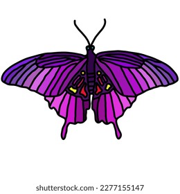 butterfly with pink gradient color pattern isolated in white background
