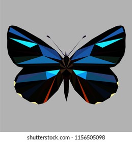 Butterfly polygonal low poly isolated on grey background,symmetrical vector illustration.Insect with geometry triangle.Suitable for printing on a t-shirt.Abstract butterfly of black and blue   colors.