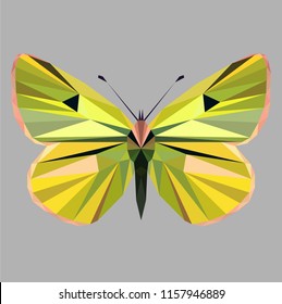 Butterfly polygonal low poly isolated on grey background,symmetrical vector illustration. Insect with geometry triangle. Suitable for printing on a t-shirt. Abstract butterfly of black and red colors.
