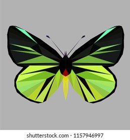 Butterfly polygonal low poly isolated on grey background,symmetrical vector illustration. Insect with geometry triangle. Suitable for printing on a t-shirt. Abstract butterfly of black and red colors.