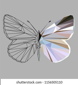 Butterfly polygonal low poly wireframe isolated on grey background,vector illustration. Insect with geometry triangle.Suitable for printing on a t-shirt.Abstract butterfly of light delicate colors.