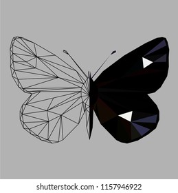Butterfly polygonal low poly wireframe isolated on grey background,vector illustration. Insect with geometry triangle.Suitable for printing on a t-shirt.Abstract butterfly of black and blue   colors.