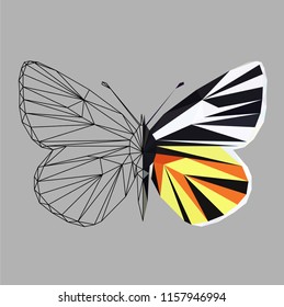 Butterfly polygonal low poly wireframe isolated on grey background,vector illustration. Insect with geometry triangle.Suitable for printing on a t-shirt.Abstract butterfly of black and blue   colors.