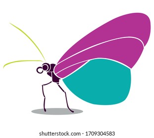 Butterfly profile, colorful and sectioned by parts