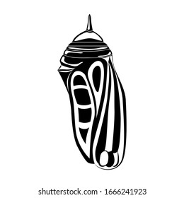 Butterfly pupa. Vector illustration. Design element isolated on white