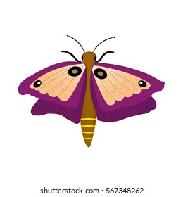 butterfly purple
