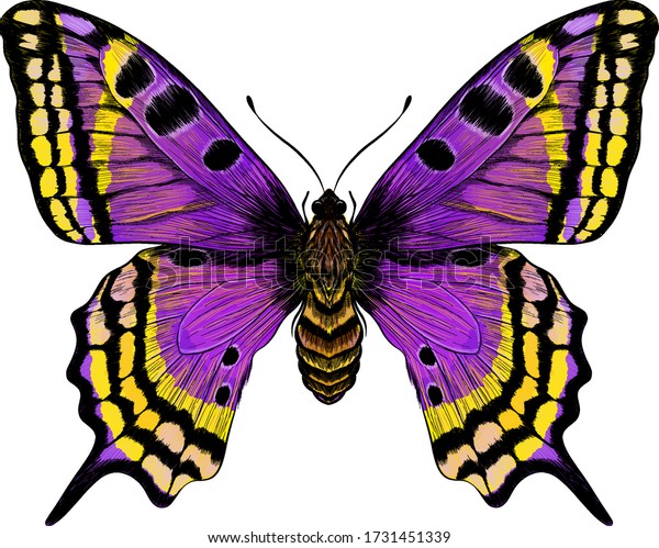 Free Free 293 Purple Butterfly Svg Free SVG PNG EPS DXF File