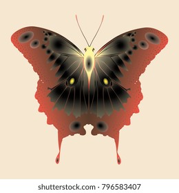Butterfly. Red yellow butterfly on a beige background. Vector graphics