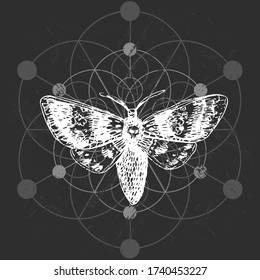 Butterfly and sacred geometry. Hand drawn vector illustration could be used for textile,  yoga mat, phone case, t-shirt, etc