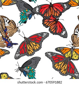 Butterfly seamless pattern background.Colorful butterfly fly