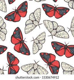 Butterfly seamless pattern. Fabric design. Hand drawn vector illustration. Butterfly vintage background. Cinnabar moth seamless pattern. 