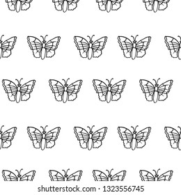 butterfly seamless pattern isolated on white background