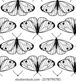 Butterfly, seamless pattern, set of hand drawn vector illustrations