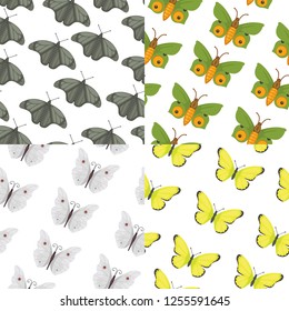 Butterfly seamless pattern vector. Summer butterflies background.