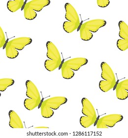 Butterfly seamless pattern vector. Summer butterflies background.