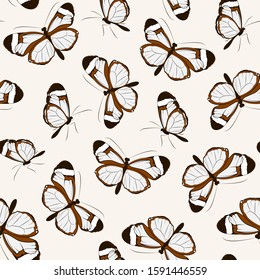 Butterfly seamless pattern, vintage retro style. Greta Oto butterflies on white beige background.