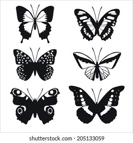 butterfly selection of six