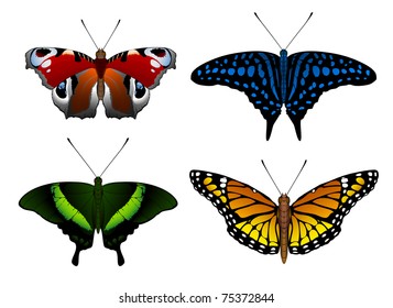 Butterfly set