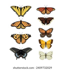 butterfly set cartoon. blue insect, wing animal, spring fly butterfly sign. isolated symbol vector illustration