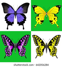 Butterfly set. Four insects in different execution. Vector illustration.